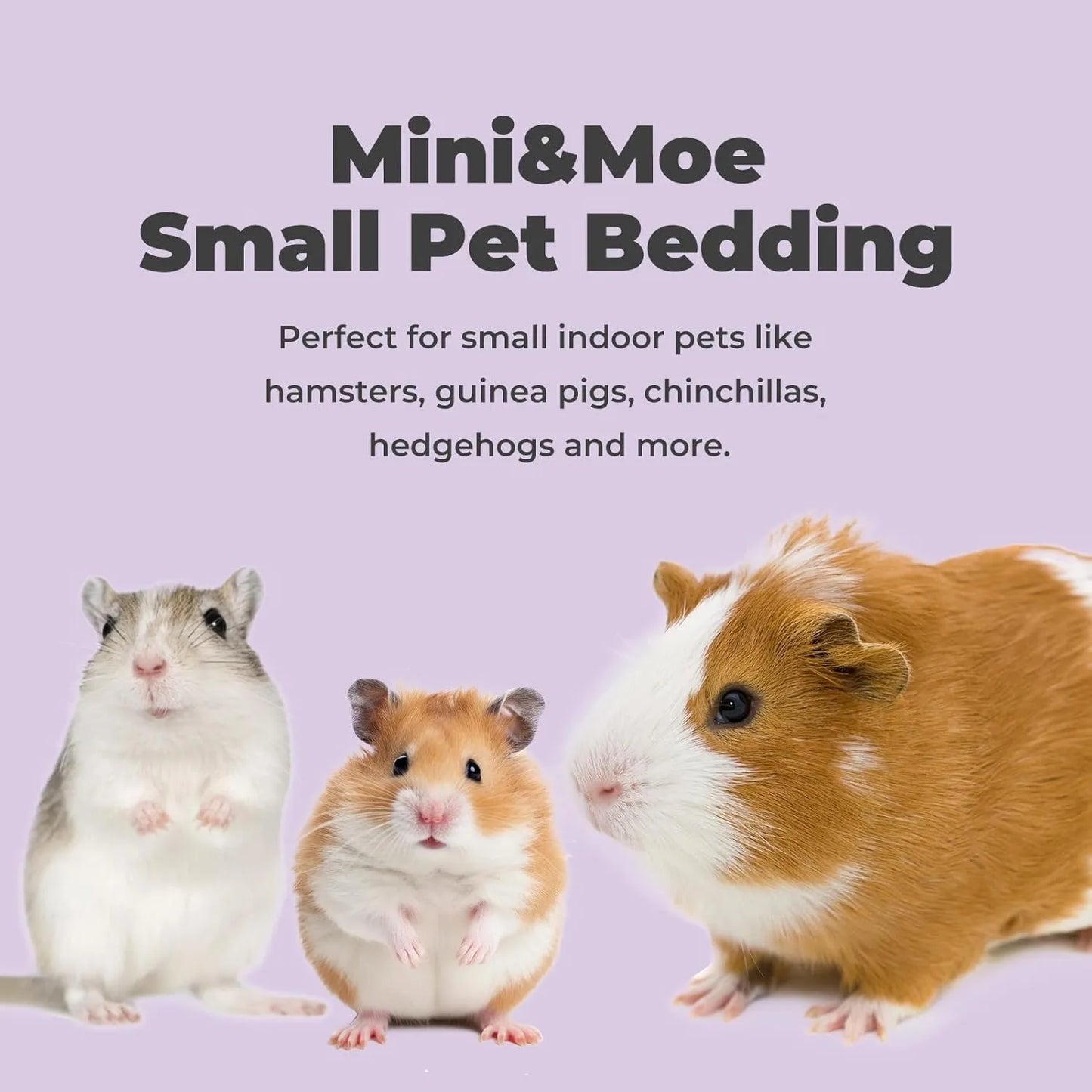 Small Pet Bedding Natural Shavings Dust Free Odor Control