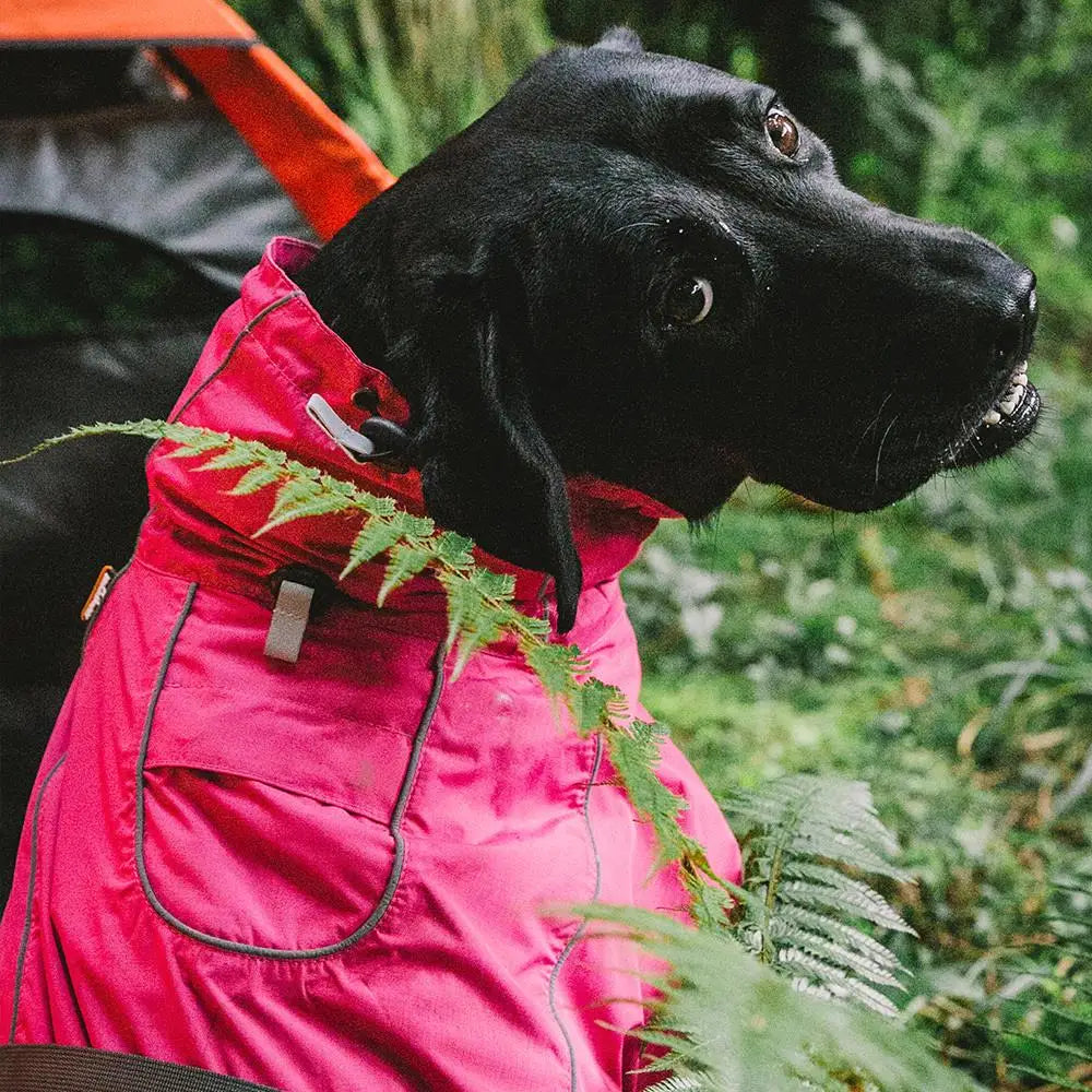 Hign-concerned Waterproof Small Dog Coats Warm Jackets
