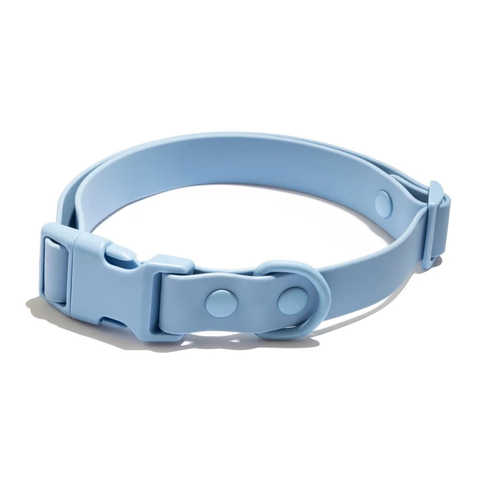 Water Odor Resistant Adjustable Nylon Dog Collar All Weather