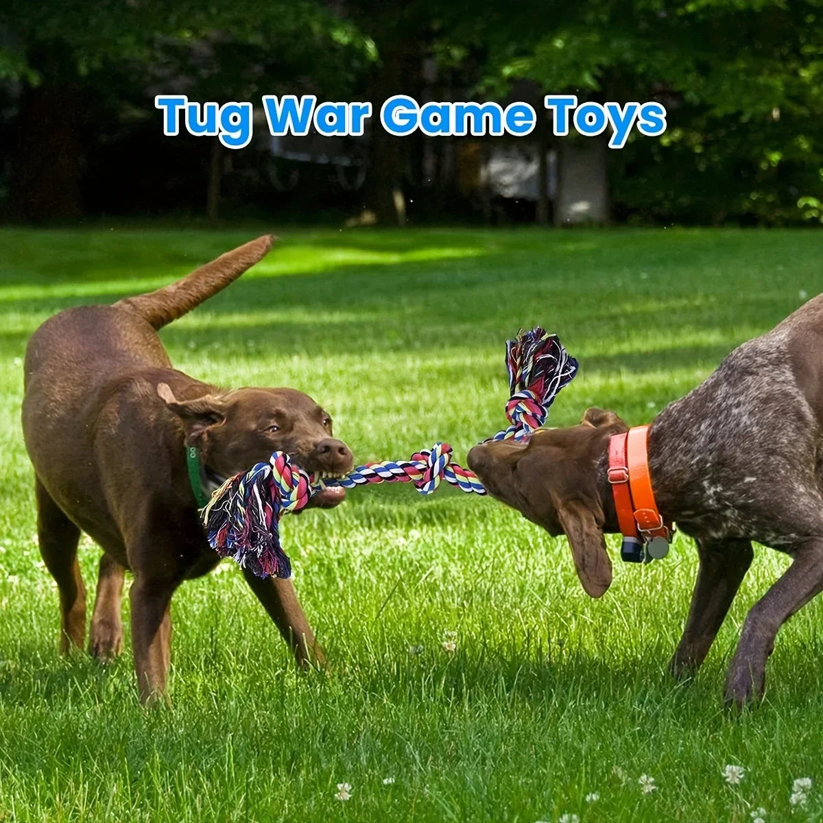 Knot Dog Toys Durable Chew Tug Interactive Toys