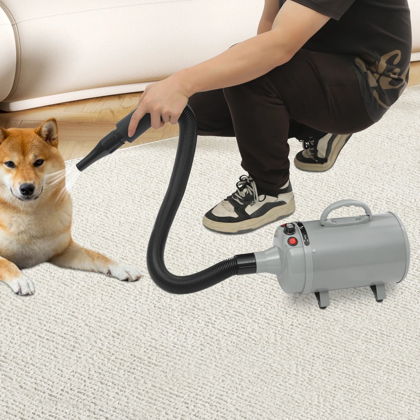 2200W Professional Pet Grooming Dryer with Adjustable Wind Speed and 4 Nozzles Low Noise Design for Dogs and Cats