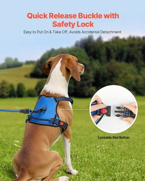 No Pull Adjustable Dog Harness for Large Dogs With Leash