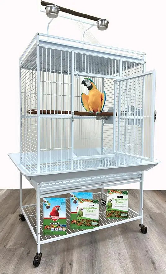 Elegant Durable Wrought Iron Parrot Bird Cage With Ladder