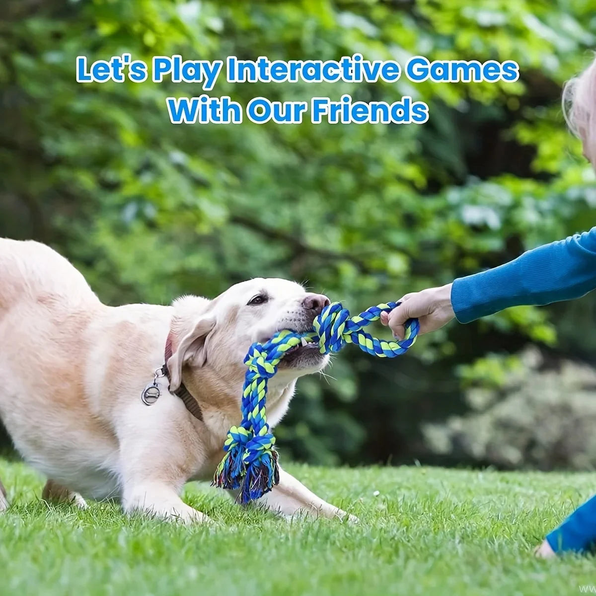 Knot Dog Toys Durable Chew Tug Interactive Toys