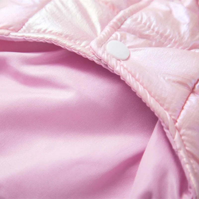 Winter Waterproof Dog Jacket For Small Dogs Warm Coat