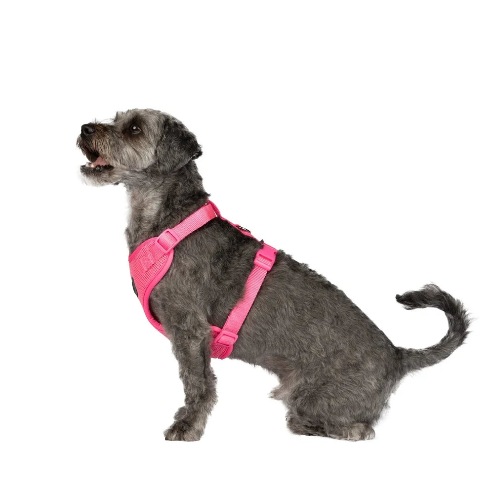 Adjustable Reflective Dog Harness For Medium Breeds Mesh
