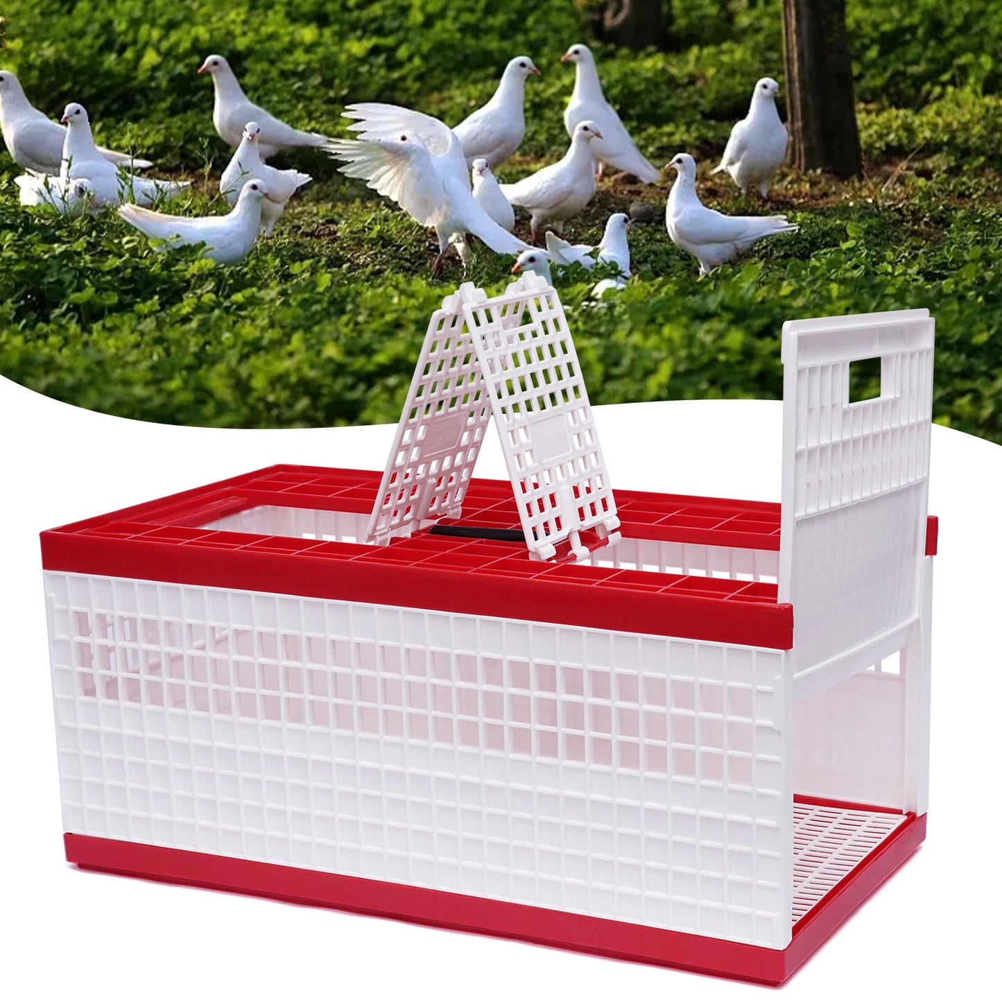 Sichuan Foldable Pigeon Carrier Portable Travel Bird Cage