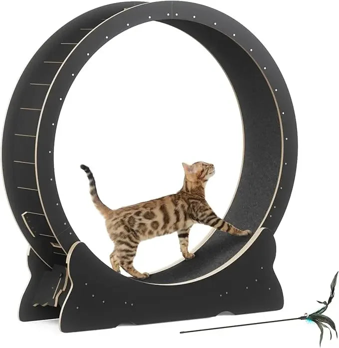 Cat Exercise Wheel by NoEnName_Null for Indoor Cats