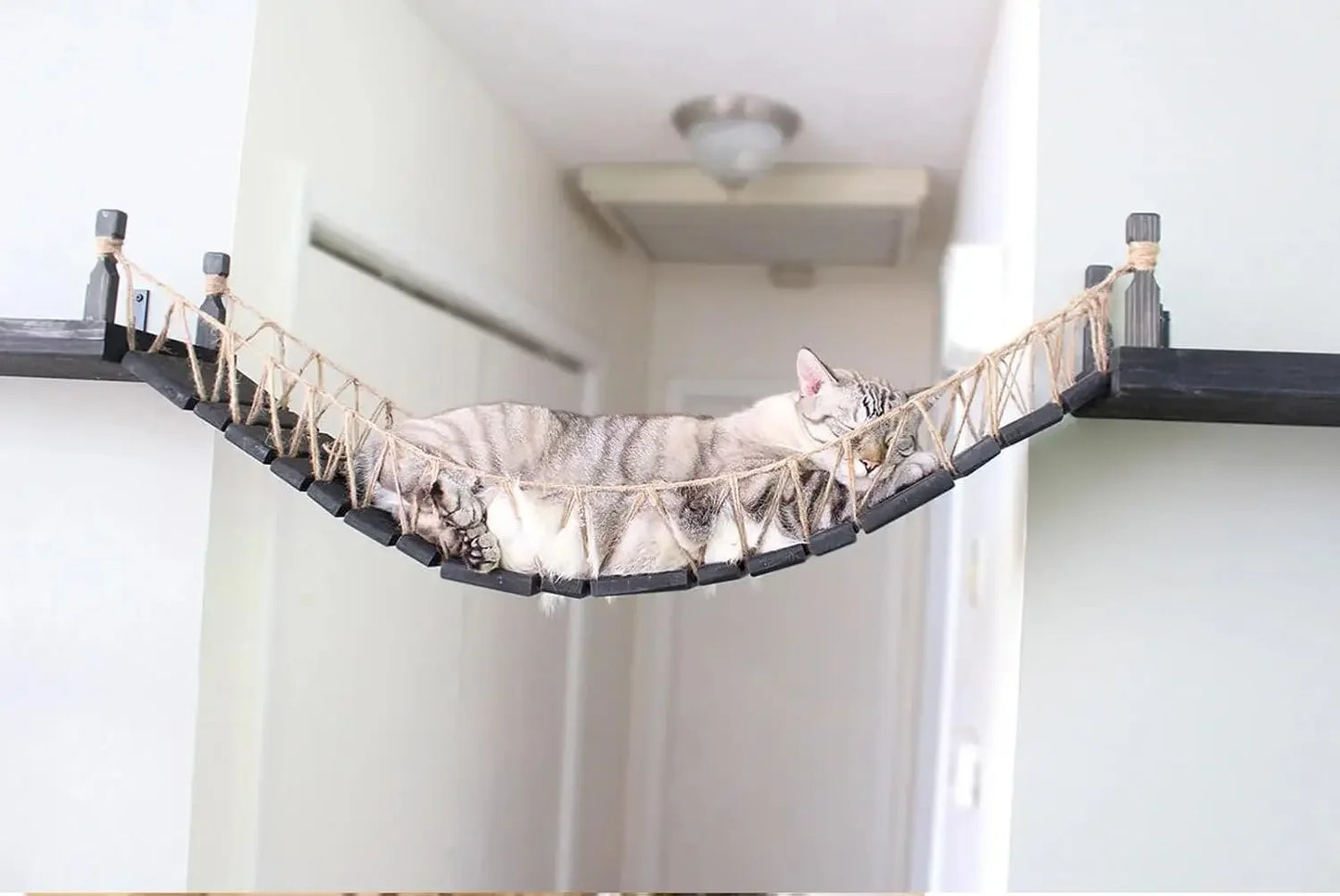 Cat Bridge Wall-Mounted Play Lounge Toy by NoEnName_Null