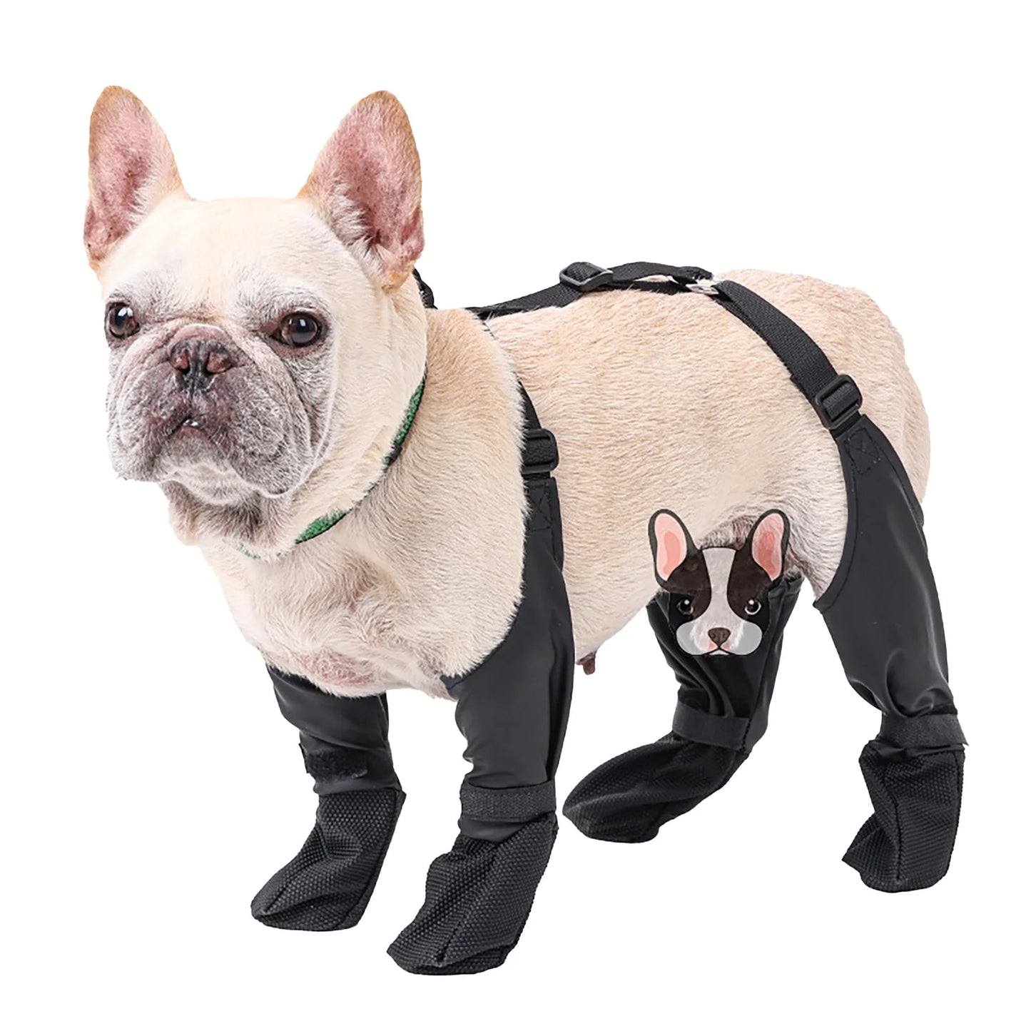 Guangdong All Weather Dog Pants With Paw Protector Strap