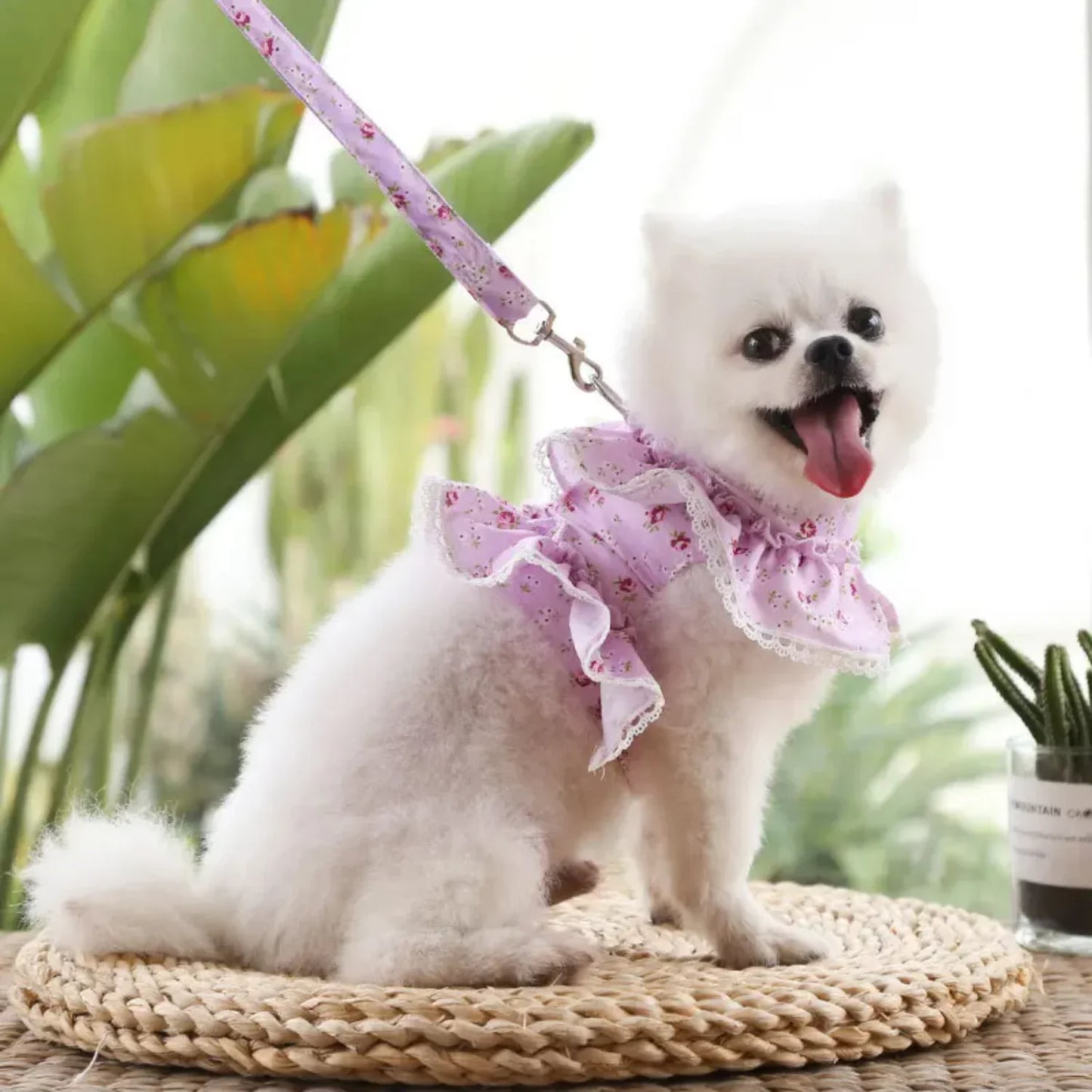 Adjustable Lace Floral Printed Dog Cat Harness Vest Set