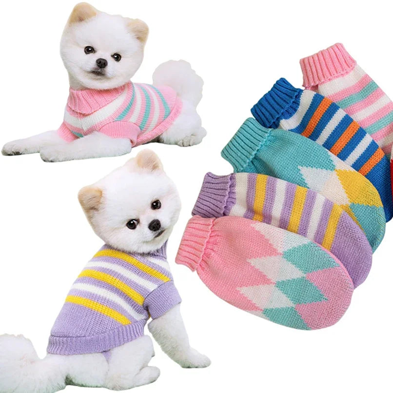 Guangdong CN Dog Knitted Sweater All Seasons Cozy Warm Clothes