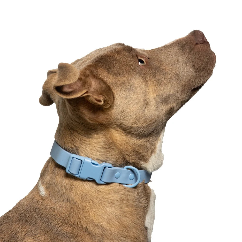 Water Odor Resistant Adjustable Nylon Dog Collar All Weather