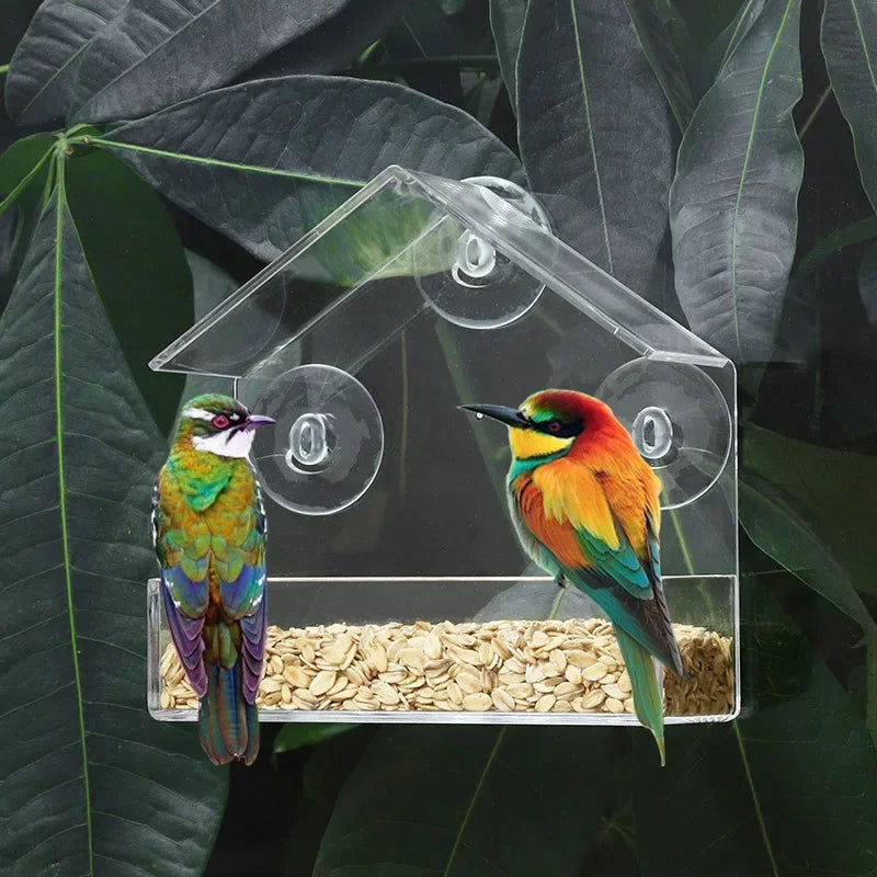 Transparent Window Bird Feeder With Suction Cups And Tray