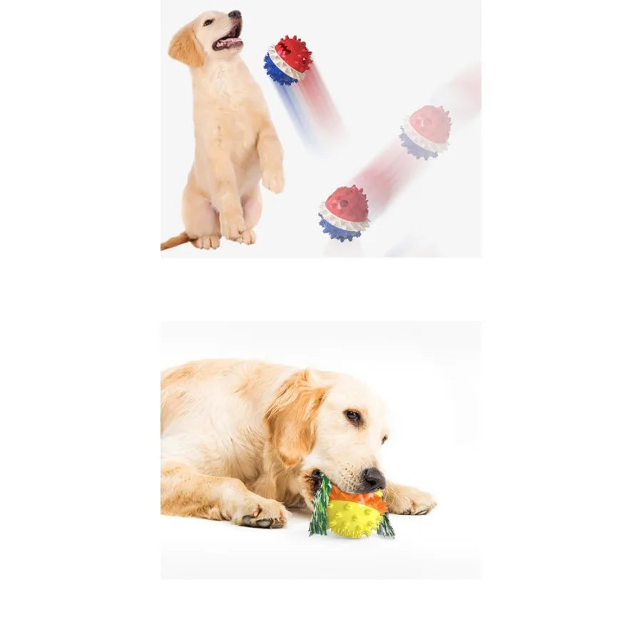 NoEnName Interactive Pet Chew Toy with Rope for Dogs