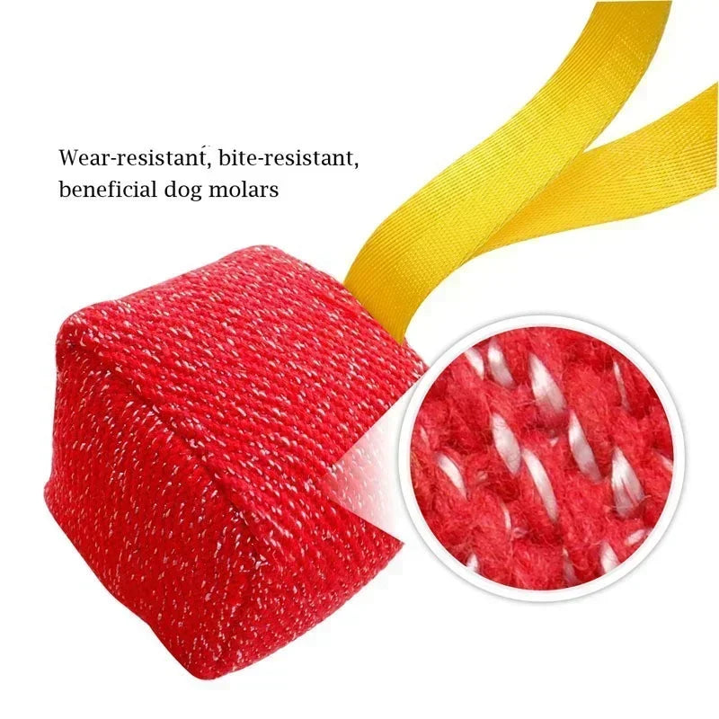 NoEnName_Null Interactive Chew Ball Toy for Dogs