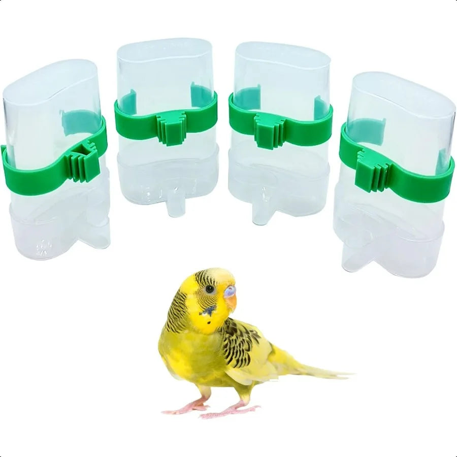 Hign Concerned Parrot Water Dispenser Automatic Bird Feeder