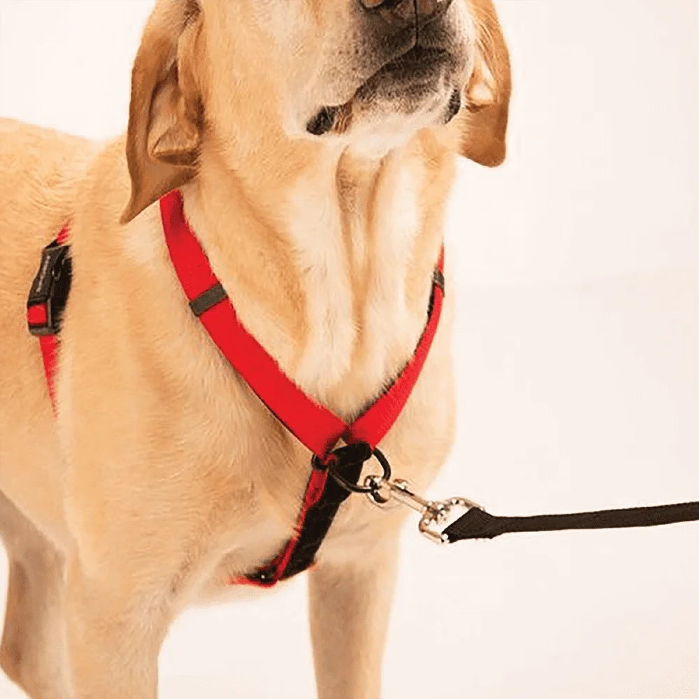 Ultimate Control Dog Harness Front Rear Pull Adjustable