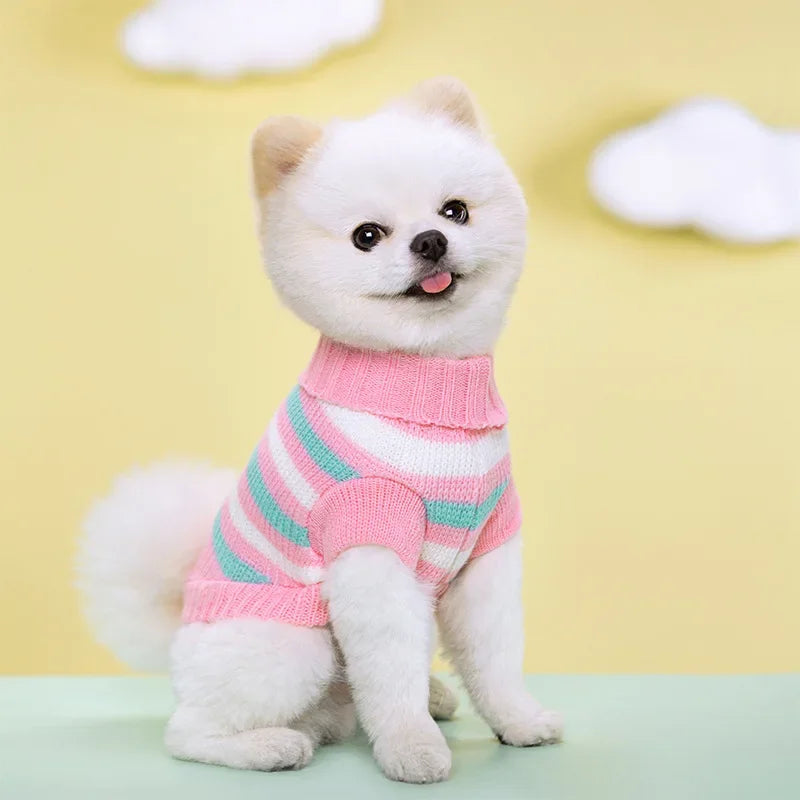 Guangdong CN Dog Knitted Sweater All Seasons Cozy Warm Clothes