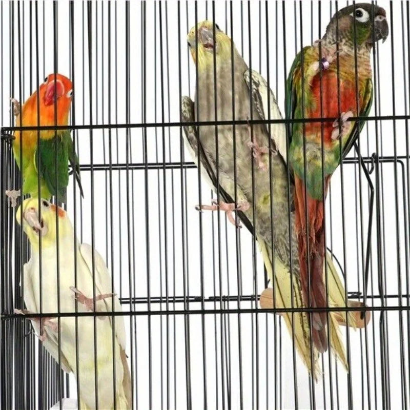 Guangdong Stackable Breeding Flying Parakeet Habitat Cage