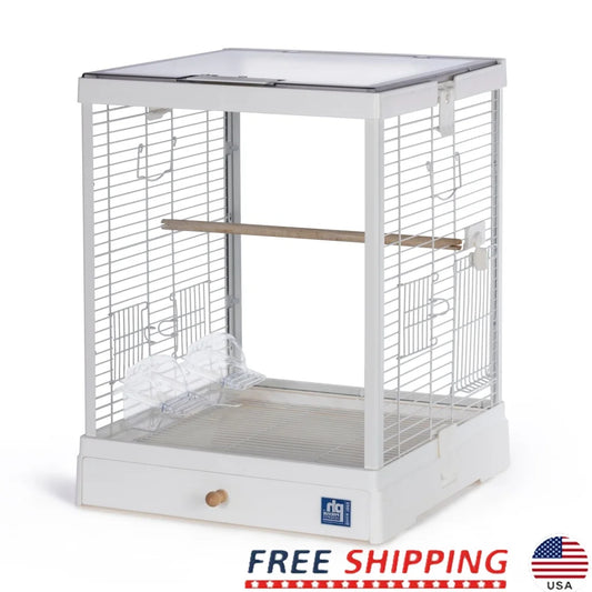 Clear Glass Bird Cage With White Frame Easy Access Perches