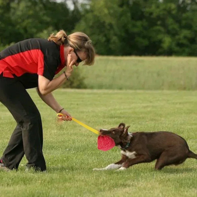 NoEnName_Null Interactive Chew Ball Toy for Dogs