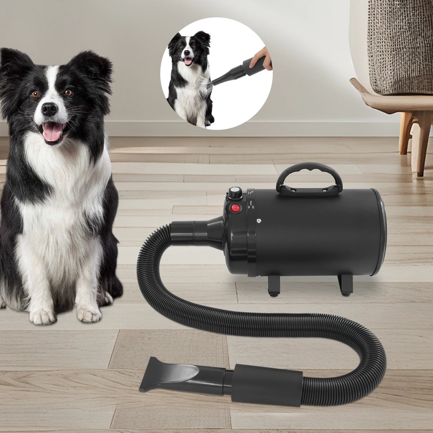 2200W Professional Pet Grooming Dryer with Adjustable Wind Speed and 4 Nozzles Low Noise Design for Dogs and Cats