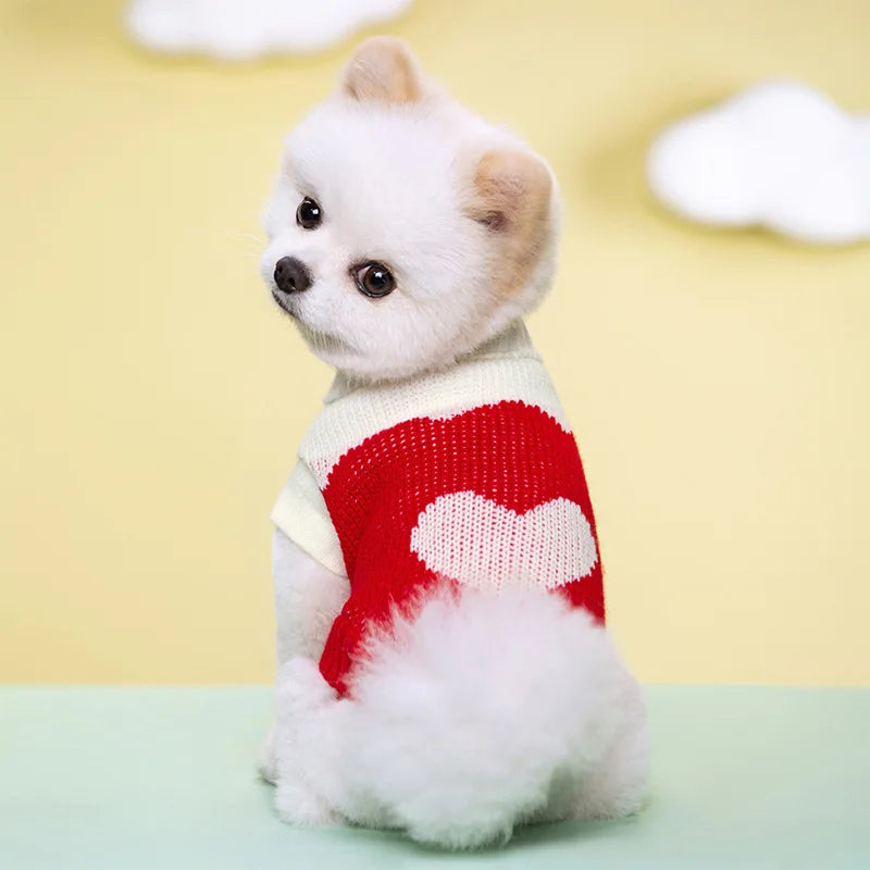 Guangdong CN Dog Knitted Sweater All Seasons Cozy Warm Clothes