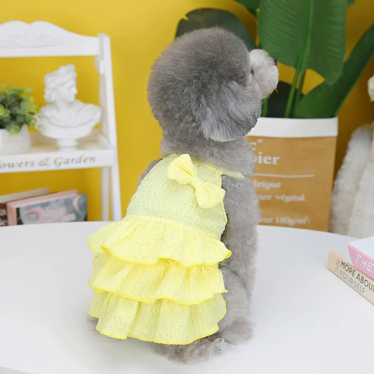 Guangdong Leather Dog Princess Dress Pet Skirt Costume