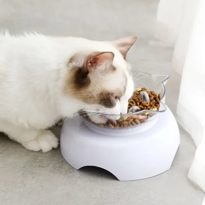 15 Degree Tilt Cat Bowl Anti Suffocate Slow Feeder Transparent Plastic Cat Food Bowl with Raised Stand