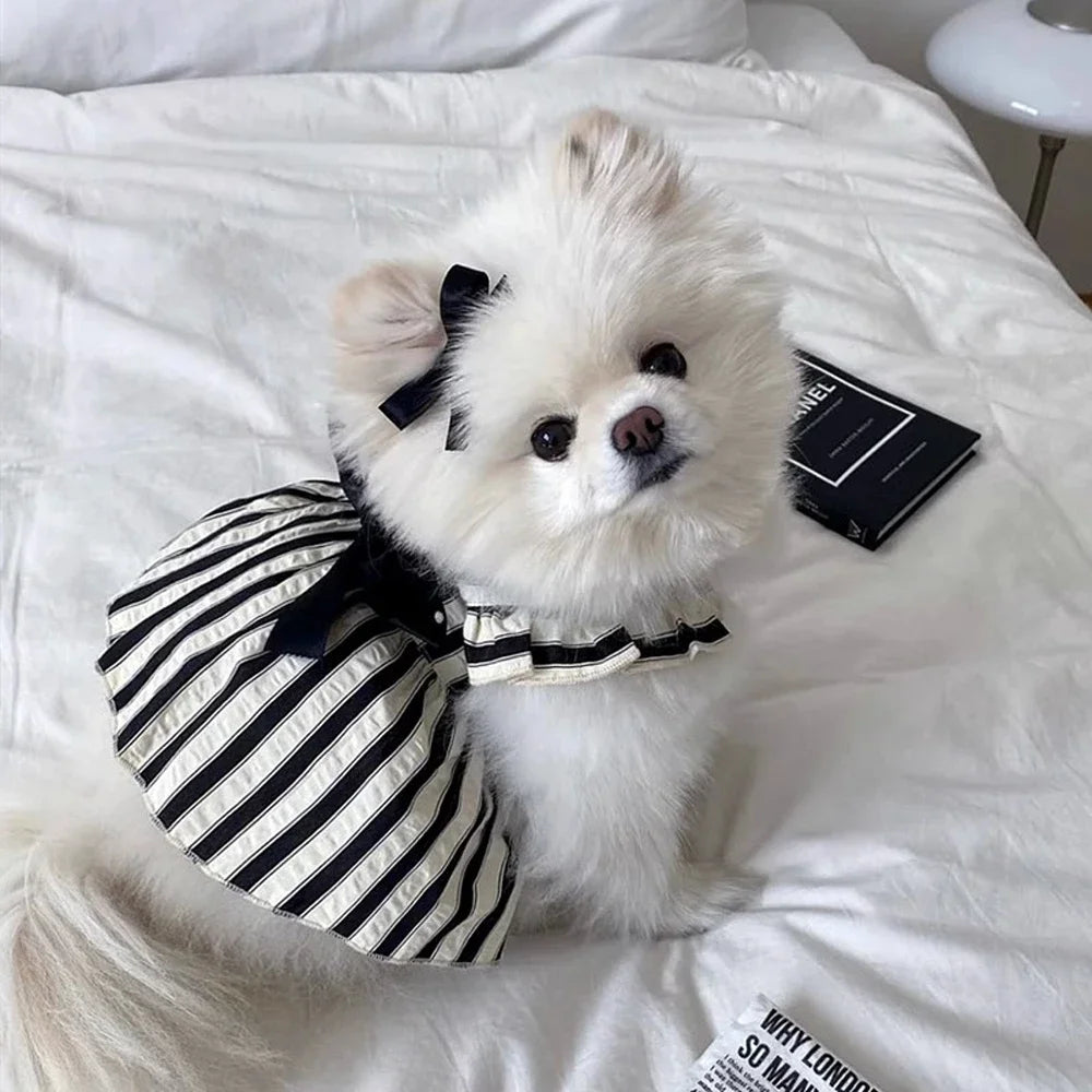 Big Bow Striped Dog Princess Dress For Dogs Everywhere
