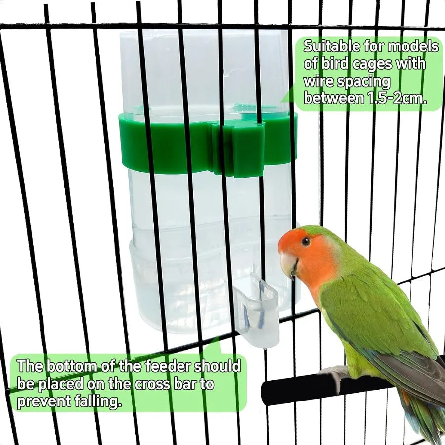 Hign Concerned Parrot Water Dispenser Automatic Bird Feeder