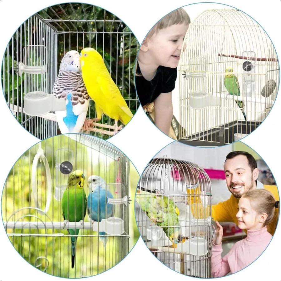 Hign Concerned Automatic Bird Water Dispenser For Cage