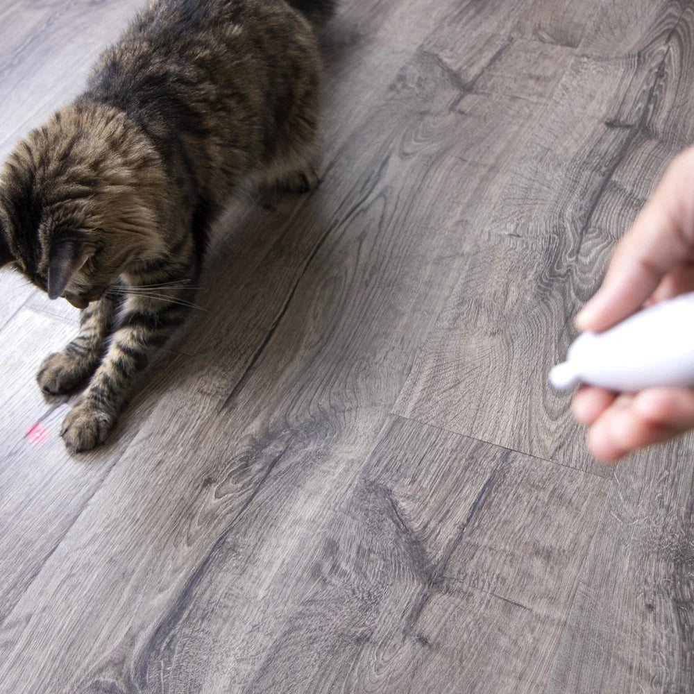 XMSJ Loco Laser Electronic Light Cat Toy 2 Pack