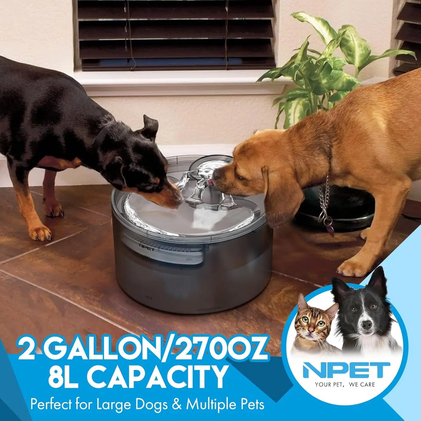 NPET DF30 Automatic Dog Water Fountain with Splatter Guard