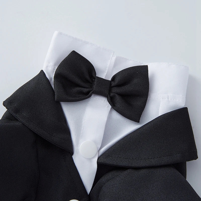 Guangdong Dog Tuxedo Formal Wedding Party Suit With Bow Tie