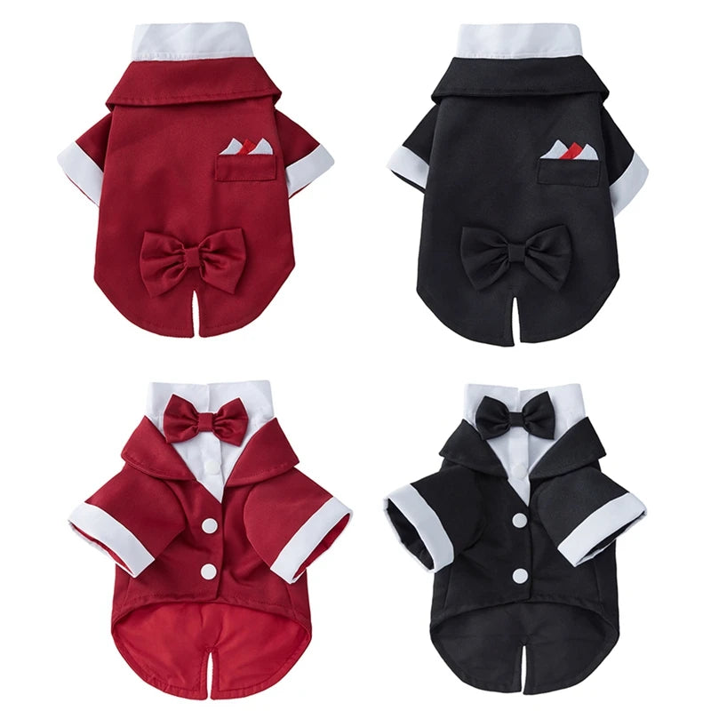 Guangdong Dog Tuxedo Formal Wedding Party Suit With Bow Tie