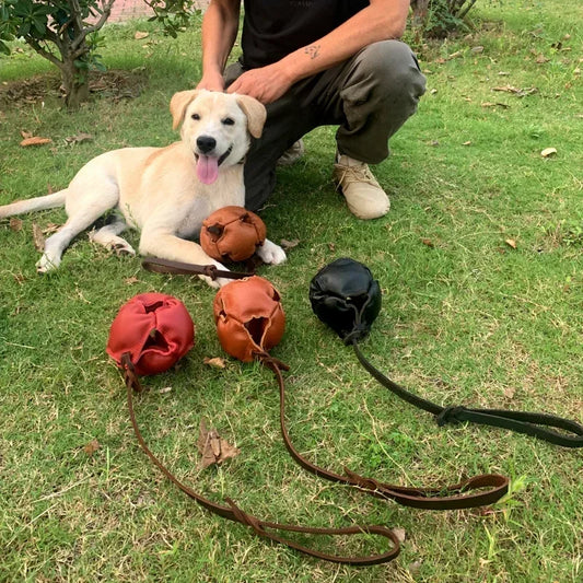 NoEnName Null Leather Dog Training Ball Toy with Handle