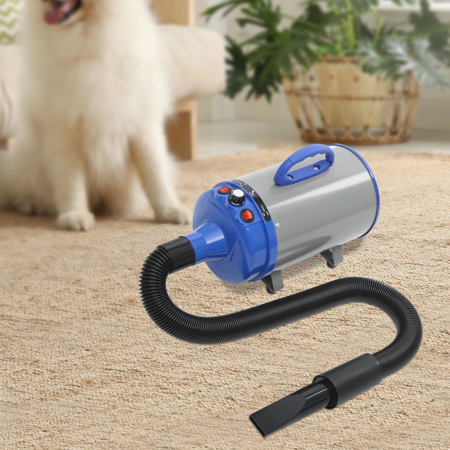 2200W Professional Pet Grooming Dryer with Adjustable Wind Speed and 4 Nozzles Low Noise Design for Dogs and Cats