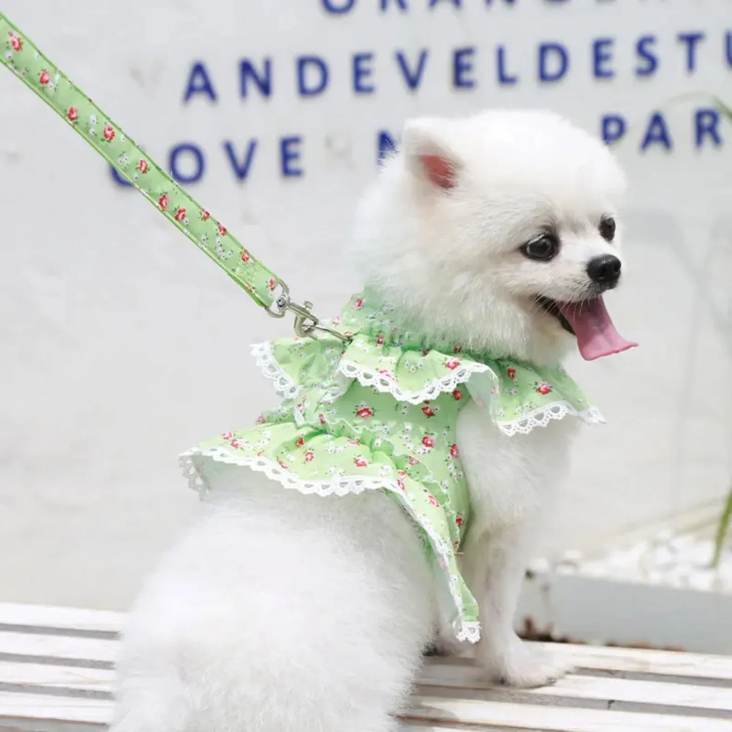 Adjustable Lace Floral Printed Dog Harness Leash Set