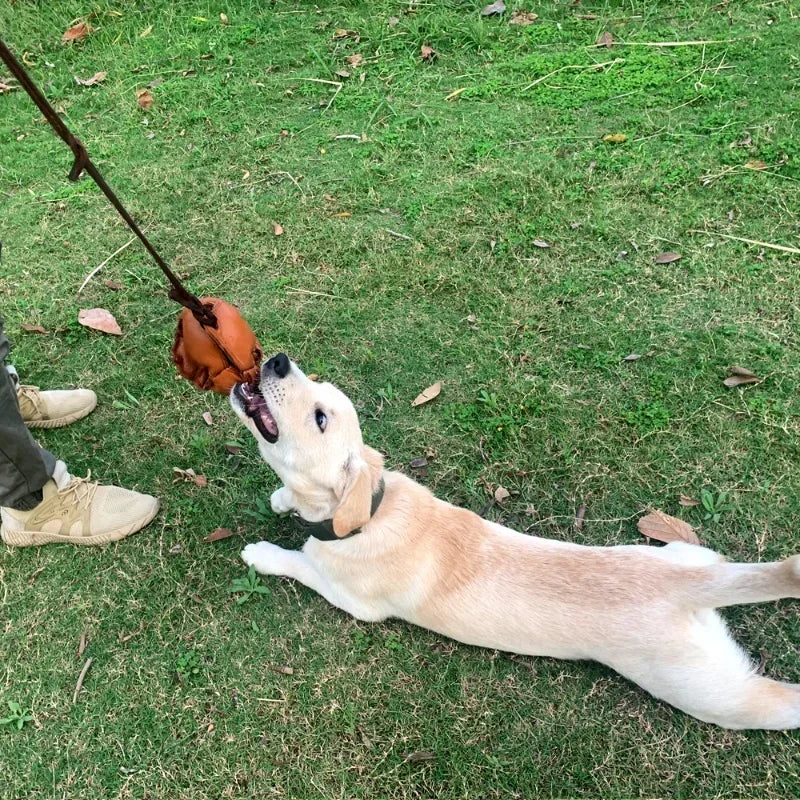NoEnName Null Leather Dog Training Ball Toy with Handle