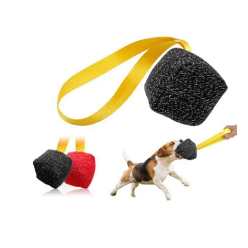 NoEnName_Null Interactive Chew Ball Toy for Dogs