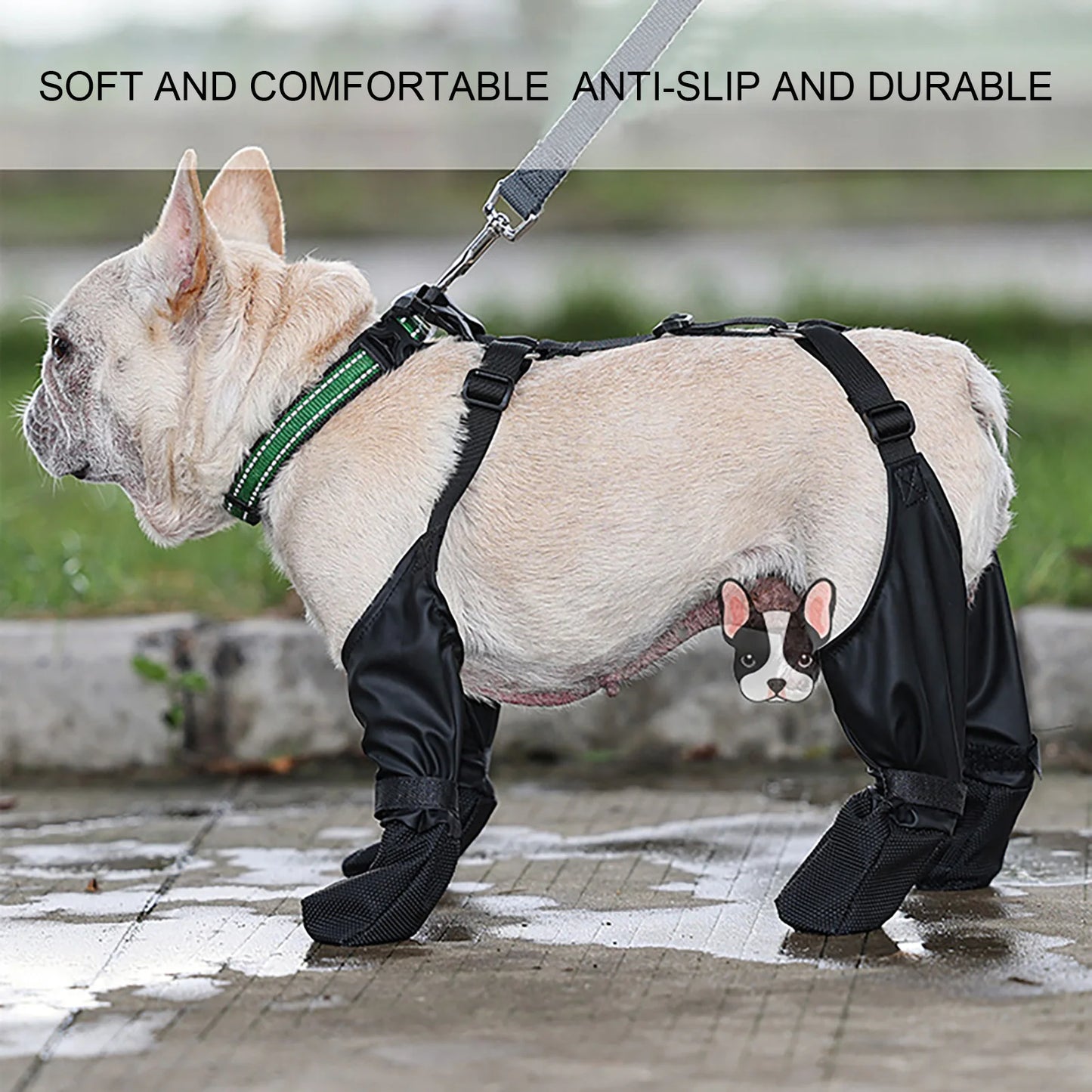 Guangdong All Weather Dog Pants With Paw Protector Strap