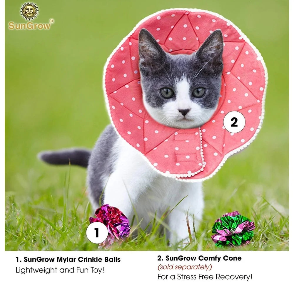 XMSJ Indoor Crinkle Balls for Cats and Kittens 12 Count