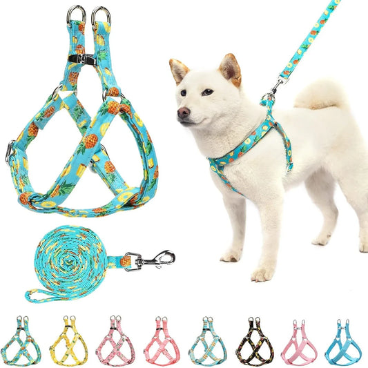 Cute Adjustable No Pull Vest Harness And Leash Set For Dogs