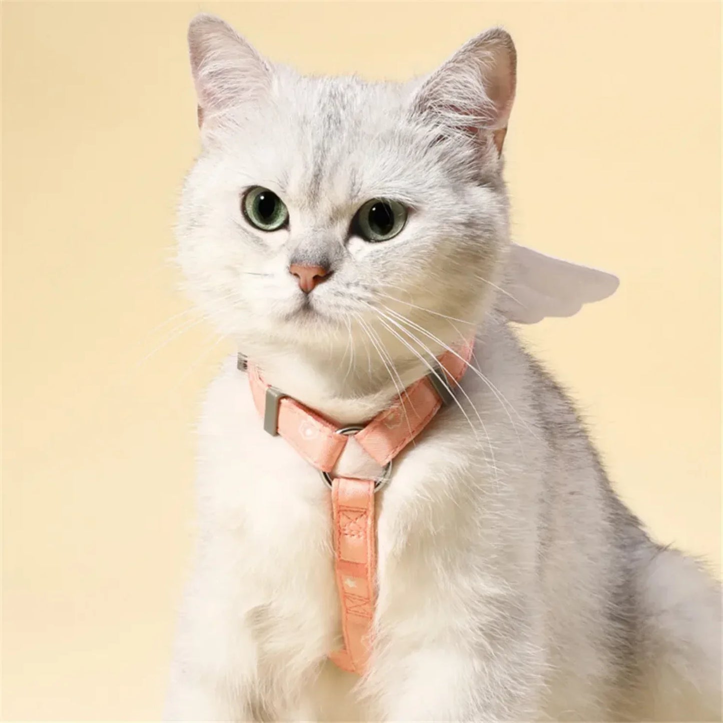Sweet Angel Wing Cat Harness With 120cm Leash Outdoor Set