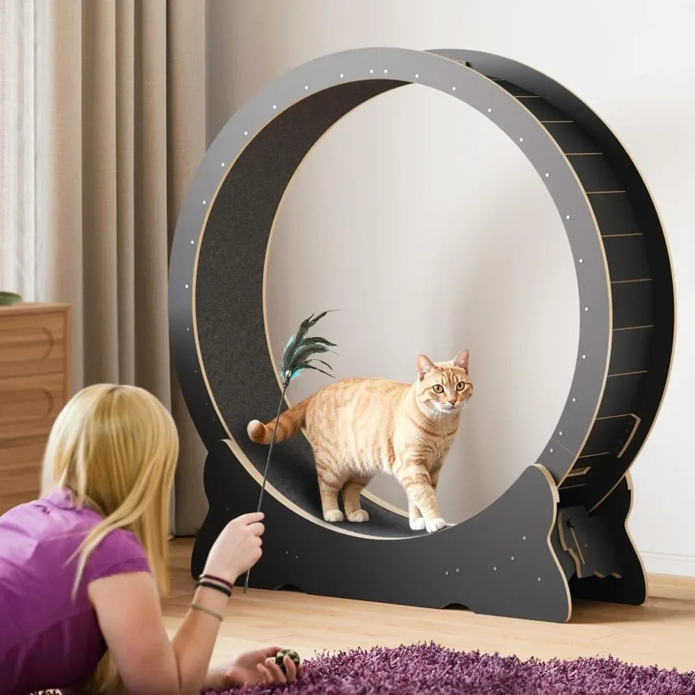Cat Exercise Wheel by NoEnName_Null for Indoor Cats