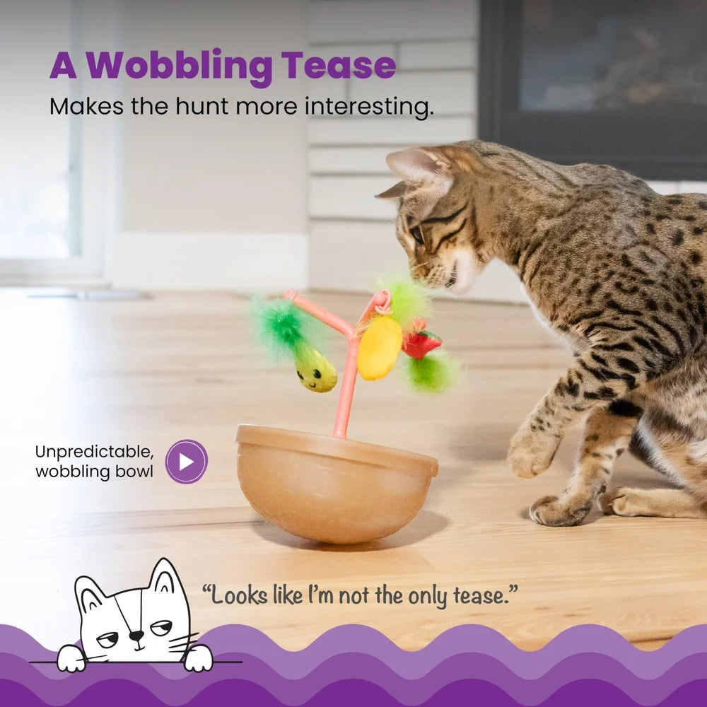 XMSJ Hunt N Wobble Fruit Bowl Cat Toy with Catnip Toys