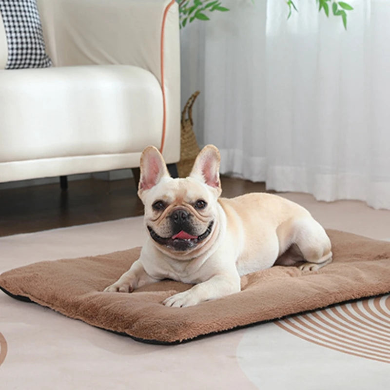 Heated Plush Dog Bed For Cats And Dogs Pet Sleeping Mat