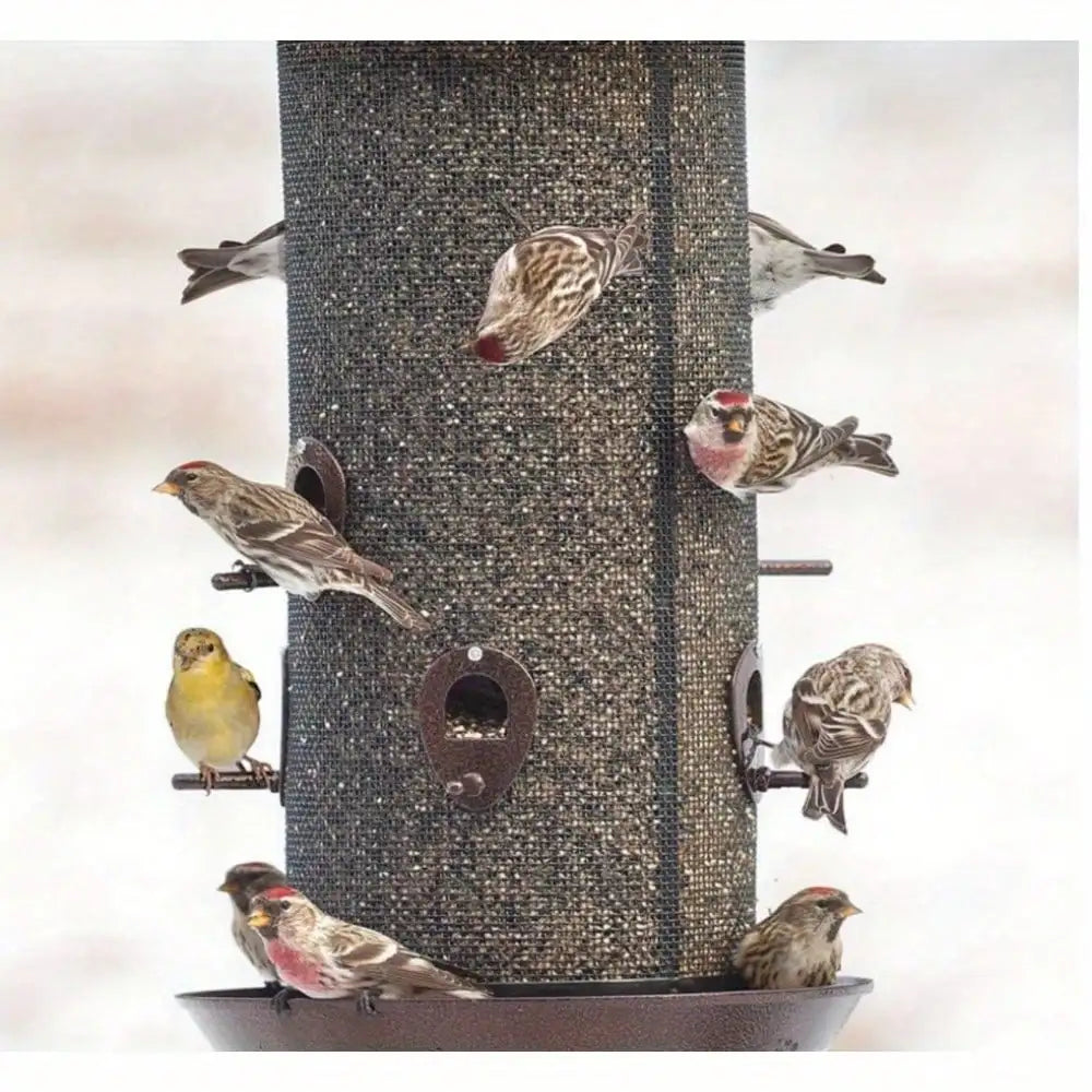 Hign Concerned Combination Screen Bird Feeder With Perches